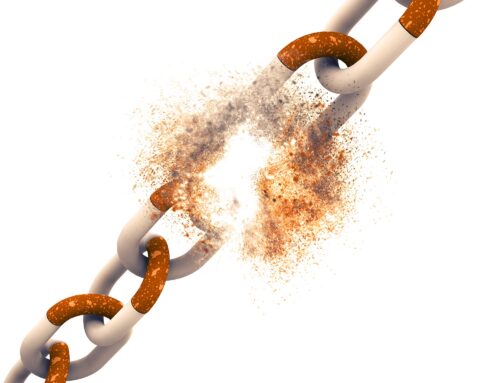 Desintermediación digital… ¿o no?